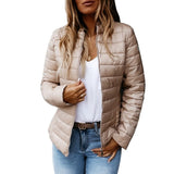 Women Basic Blue Sport Jackets