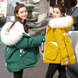 Women Down Padded Jacket